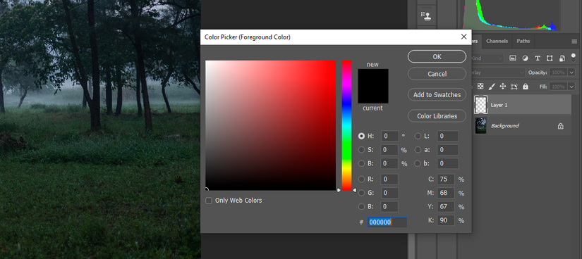 How to Use the Brush Tool in Photoshop: A Beginner's Guide