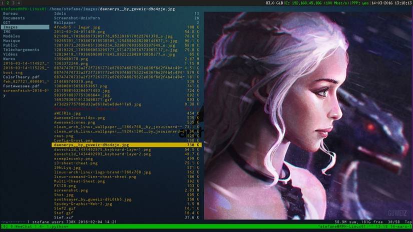 Pretty Ranger File Manager 10 Best File Managers for Linux Power Users