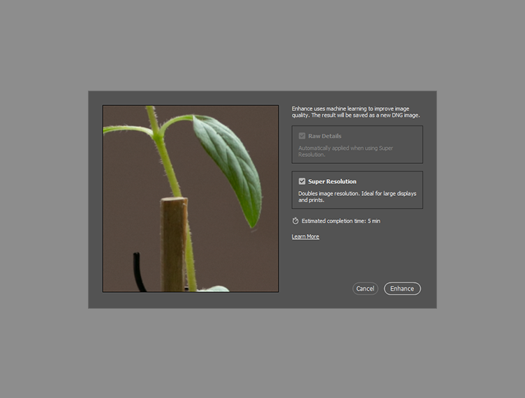 How to Use Adobe's Super Resolution to Upscale Images