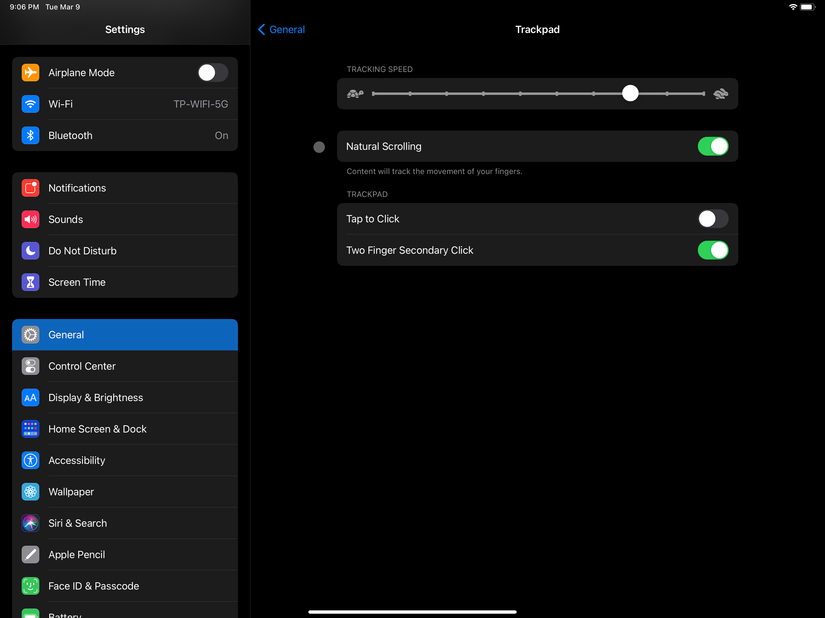 iPadOS trackpad gesture settings screenshot