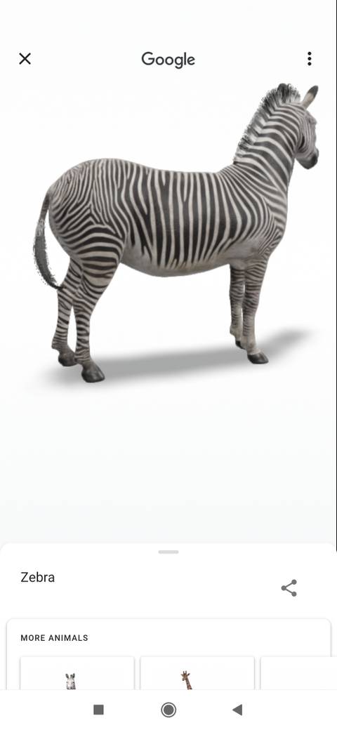 Google Animal How to View Google's 3D Animals and Go on a Virtual Safari