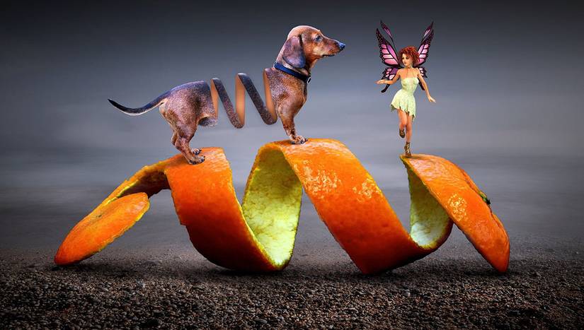 funny photoshop ideas