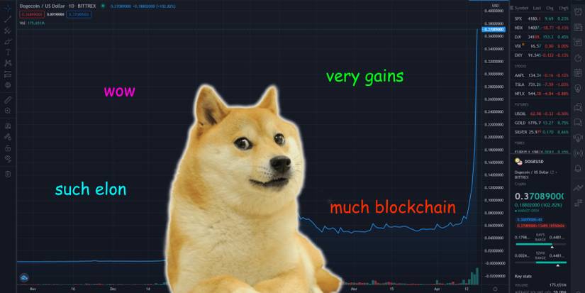 The 7 Reasons Dogecoin Will Never Succeed