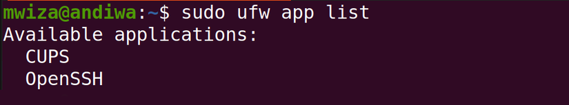How to Configure the Firewall in Ubuntu With UFW