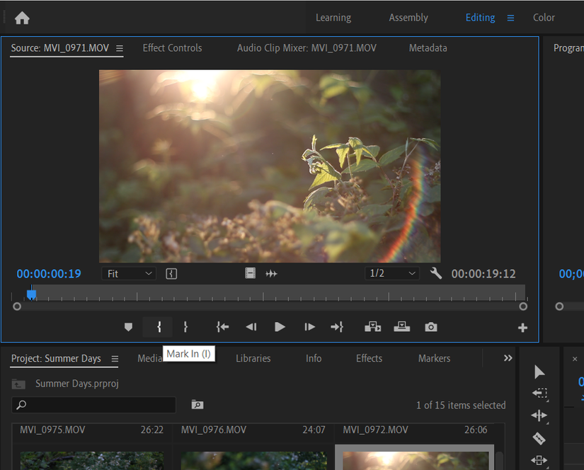 How to Do a Three-Point Edit in Premiere Pro