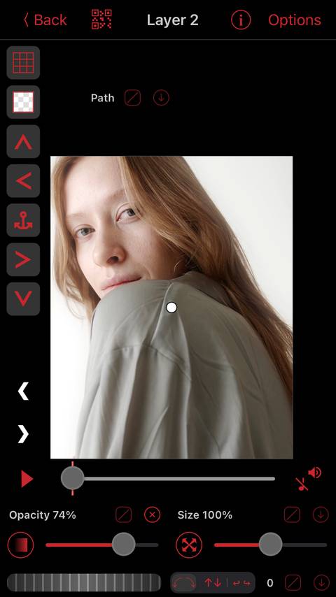 Opacity Adjustment Video Star