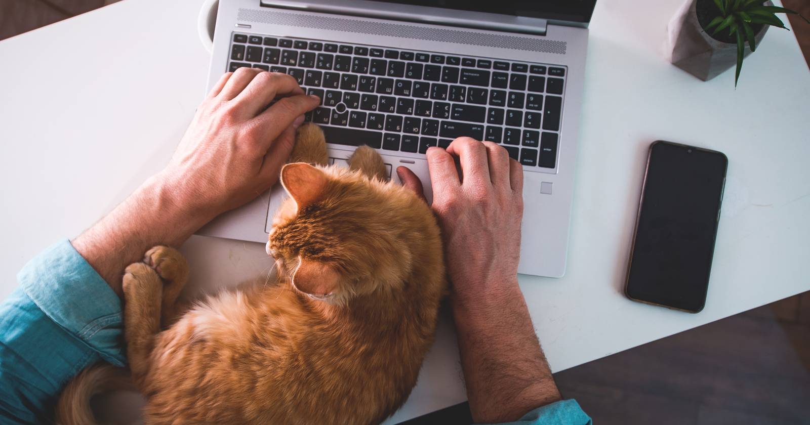 Using Your Pet's Name as a Password? Here's How to Make It More Secure