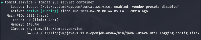 A Step by Step Guide to Installing Apache Tomcat 9 Linux