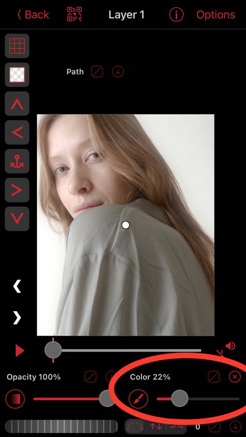 Tracking Blur Keyframe Editor Video Star