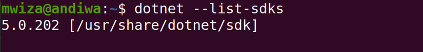 How to Install .NET 5 on Ubuntu Linux