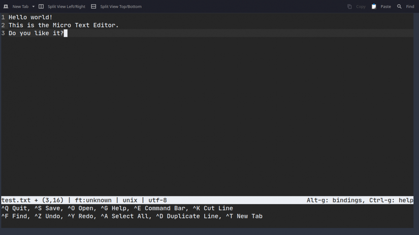 Mini Text Editor Feeling Overwhelmed With Vim? Try Micro Text Editor Instead