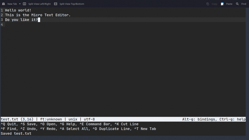 Feeling Overwhelmed With Vim? Try Micro Text Editor Instead