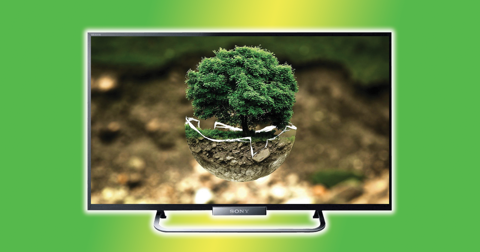 4 Ways to Make Your Entertainment More Eco Friendly