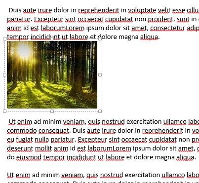 How to Edit and Crop Images in Microsoft OneNote