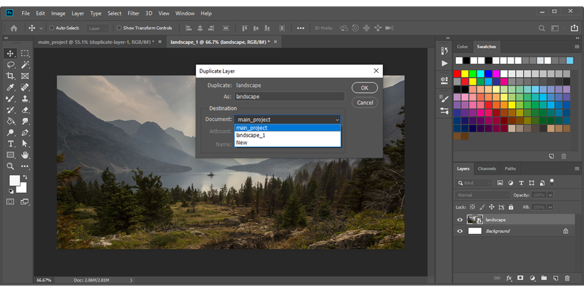 Duplicate layer feature in Photoshop