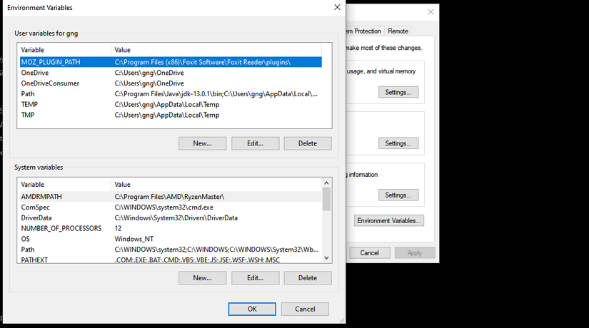Environment variables panel