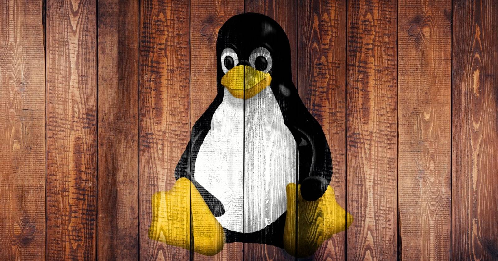 10 Linux Distros for Beginners, Intermediate, and Advanced Users