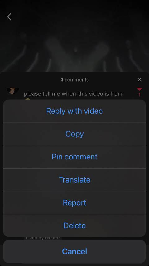 Screenshot showing different comment actions for TikTok