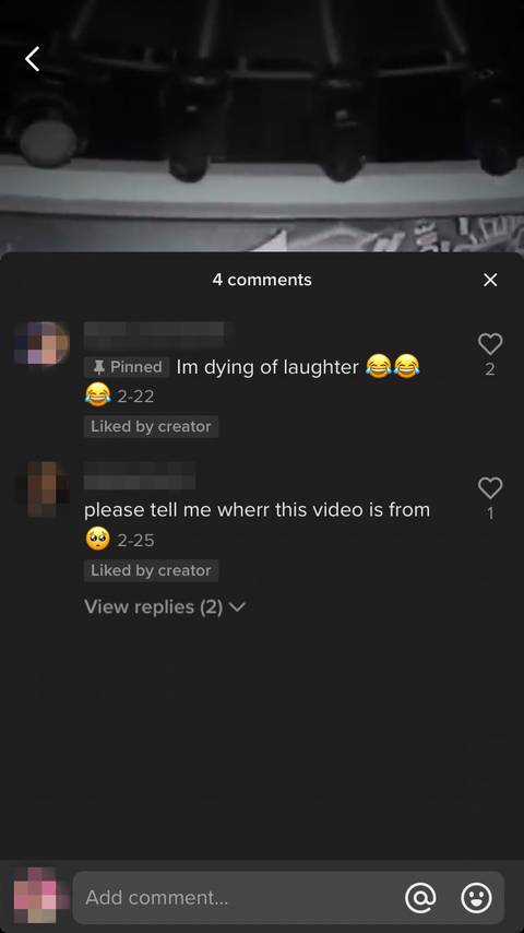 Screenshot showing pinned comment on TikTok