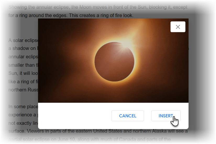 How to Add Animated GIFs Correctly in Google Docs