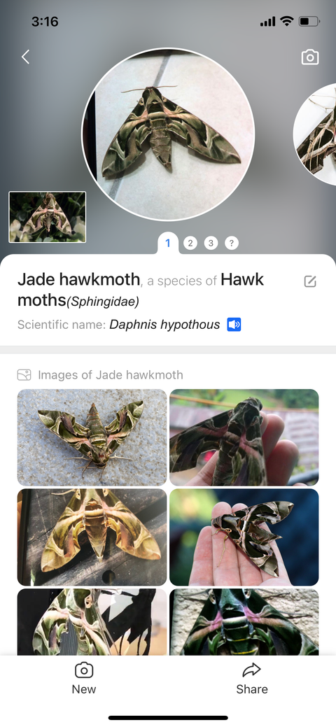 6 Outdoor Apps You Should Try With Your Kids