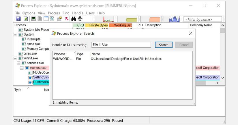 Process Explorer Search