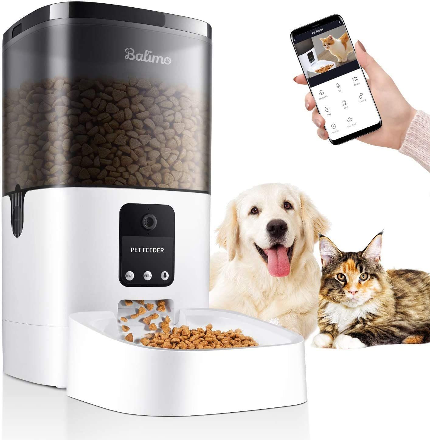 The 7 Best Automatic Pet Feeders