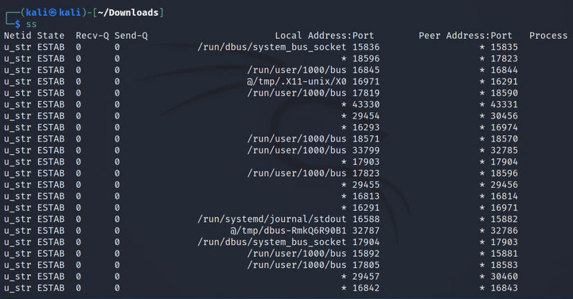 How to Monitor Network Connections on Linux With ss