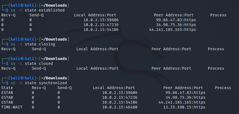 How to Monitor Network Connections on Linux With ss