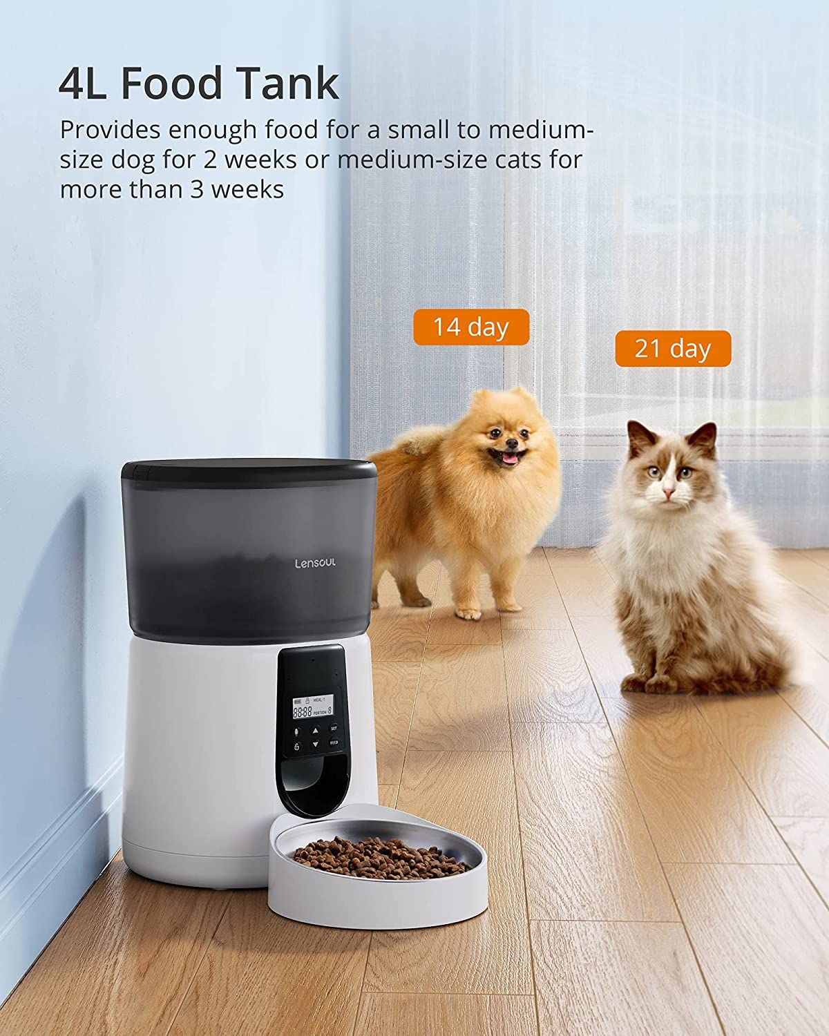 The 7 Best Automatic Pet Feeders