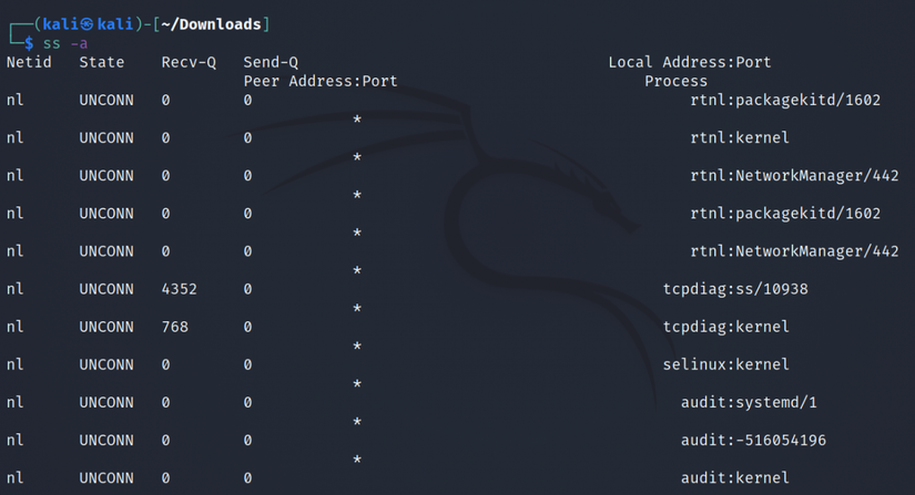 How to Monitor Network Connections on Linux With ss