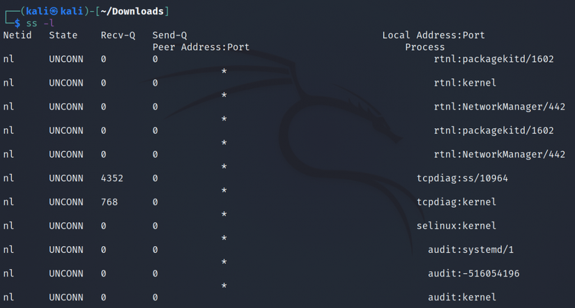Listen Command How to Monitor Network Connections on Linux With ss