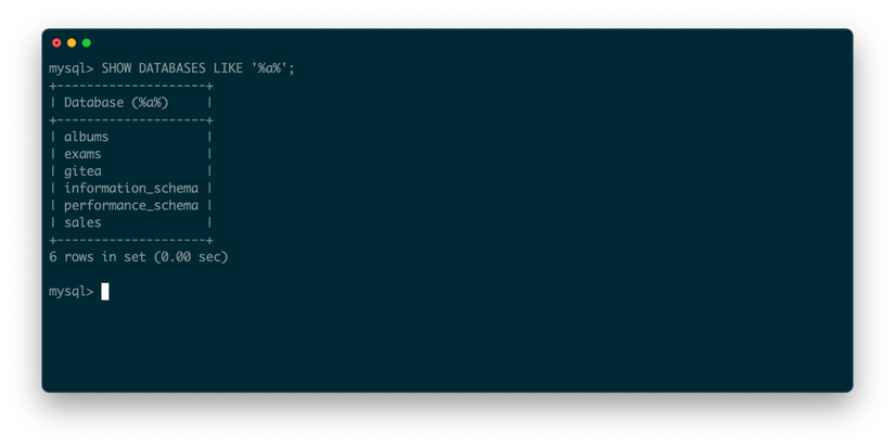 Everything You Need to Know About Listing MySQL Databases