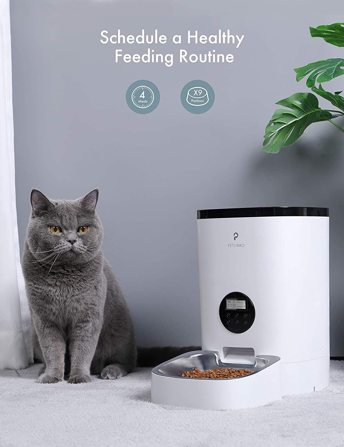 The 7 Best Automatic Pet Feeders