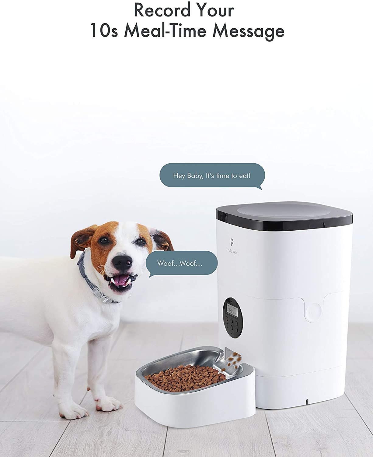 petlibro and dog photo