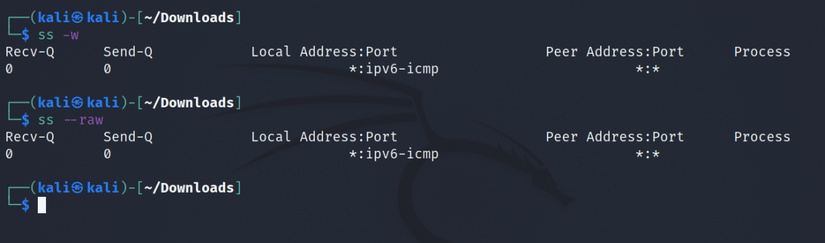 How to Monitor Network Connections on Linux With ss