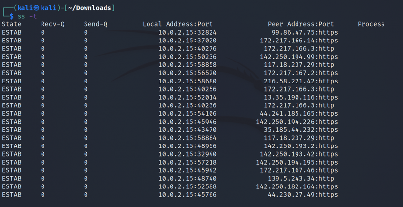 How to Monitor Network Connections on Linux With ss