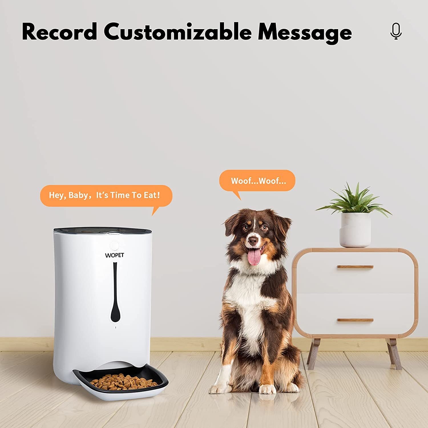 wopet product voice control feature