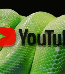 How to Play a Video Using a Python Script