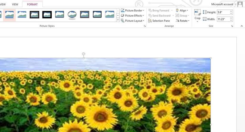 How to Create 3D Split Photo Effect in PowerPoint