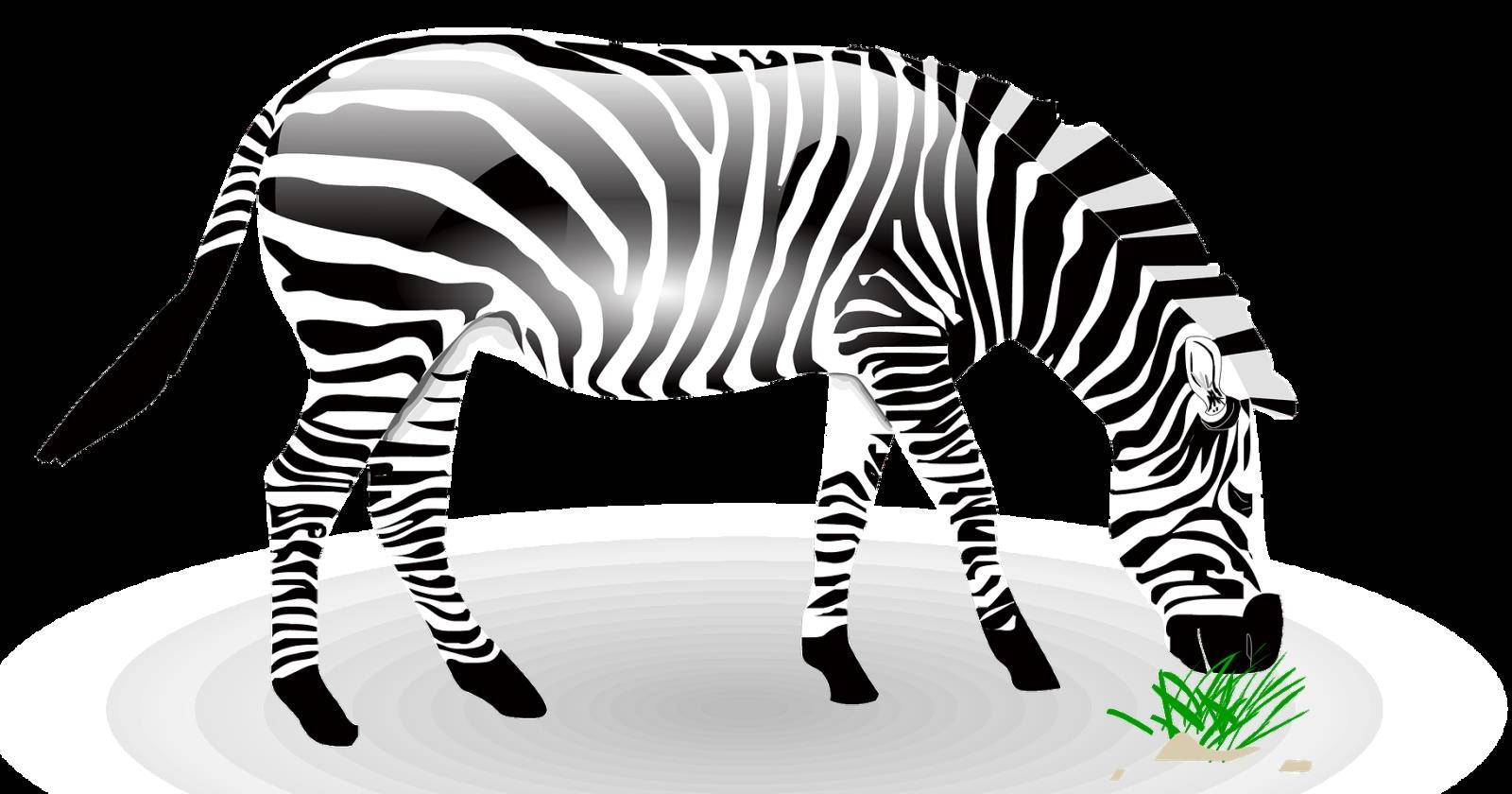 How to View Google's 3D Animals and Go on a Virtual Safari