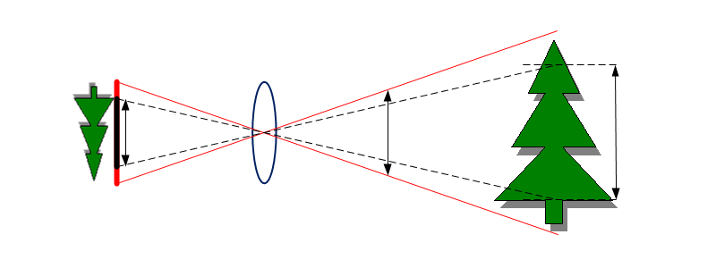 What Is Magnification in Photography?