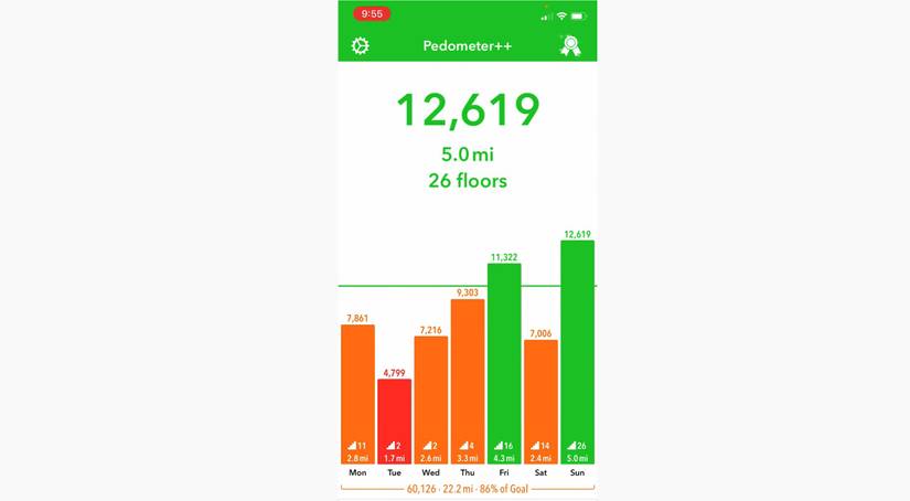 The 8 Best Pedometer Apps for iPhone