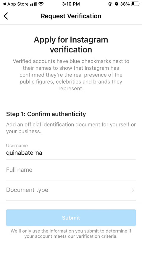 Instagram Request for Verification