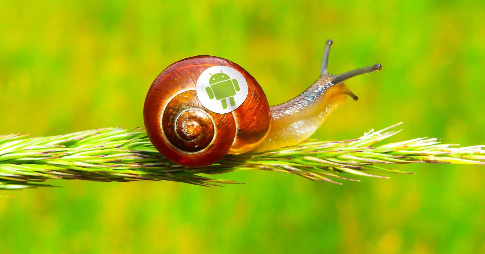 These Popular Apps Might Be Slowing Down Your Android Phone
