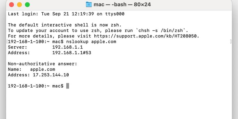 How to Use Terminal as a Network Utility Replacement
