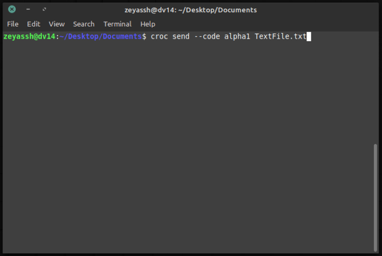 Croc Program How to Install and Use croc to Securely Transfer Files on Linux