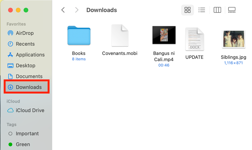 Downloads Where to Find Downloaded Files in Safari on a Mac and How to Manage Them