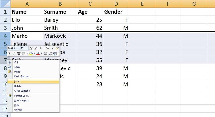 How to Insert Multiple Rows in Excel
