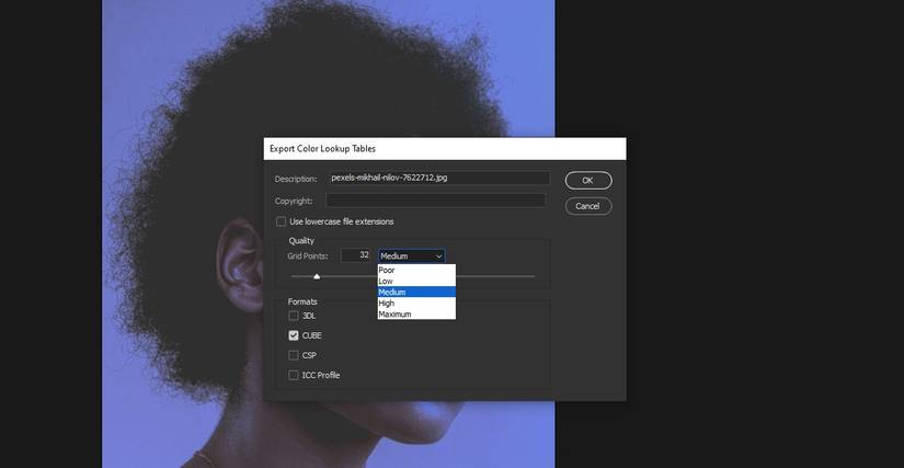 How to Create and Save Custom LUTs in Photoshop